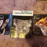 Three Animal Books- Owls, Foxes,and the San Diego Zoo.