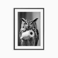 Owl Wall Art, Photography Prints, Owl Poster, Bathroom Wall Art, Funny Poster, Black and White Wall 