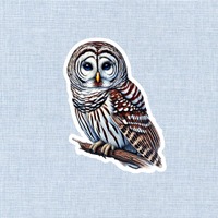 Barred Owl Sticker: Vinyl Bird Decal