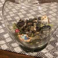 The Wise Owl terrarium