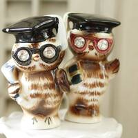 Vintage Owl Graduate Salt and Pepper Shakers with Rhinestone Eyes by Napco Japan, Knick-knack, Small