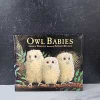 Owl Babies by Martin Waddell (1992, Hardcover)