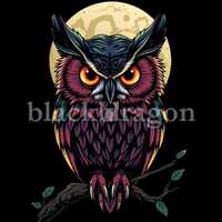 Mystical Moon Owl Design - Printable Gothic Night Owl Digital Art  for T-Shirts, Stickers, Wall Art,
