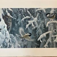 Robert Bateman " Chickadees Screech Owl The Scolding " Print Limited Edition Signed & 