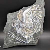 Hand painted owl on shale rock by Patricia m mansell