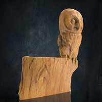Baby Owl 3D CNC Router Files, 3d stl file, Cnc Relief, vectric, aspire, easel, cnc cut files, 2.5d f
