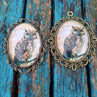 wise owl brooch or pendant. teacher gift