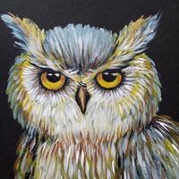 Portrait of a Mystical Owl Acrylic Painting on Black Paper Original A5 Artwork