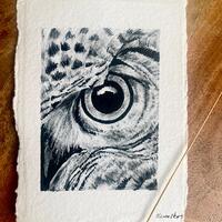 Owl Portrait, Original Pen and Ink (A6)