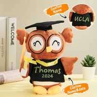 Personalized Graduation Owl Plush Gift, Custom 2026 Grad Gift, Personalized Gift for Grad, Class of