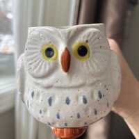 Vintage Owl Mug,  Retro Owl Cup, Ceramic Owl