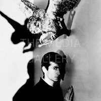 Norman Bates & Owl Photo Print Wall Art - Horror Art - Alfred Hitchcock - Anthony Perkins - Seri