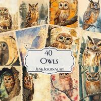 40 Owls Junk Journal Kit, Vintage Owl Digital Papers, Woodland Bird Ephemera, Printable Scrapbooking