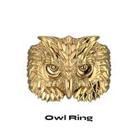 Sterling Silver Barn Owl Wisdom Ring – Celestial Moonphases Statement Veiled Owl Ring – 
