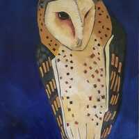 Barn Owl Original Oil Painting
