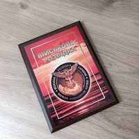 Ukrainian military plaquette  Military intelligence of Ukraine. Owl sign. GLORY TO UKRAINE