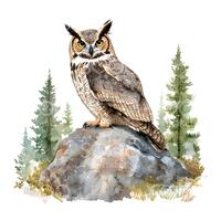 21 Great Horned Owl Clipart, Horned Owl Forest, Printable Watercolor, High Quality JPGs, Digital Dow
