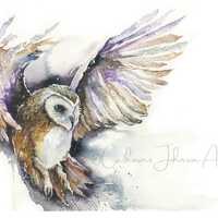 Original Watercolour Painting of an Owl in Flight