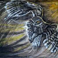 Original Little Owl in Flight Art, Charcoal, Pastel, & Acrylic on A1 Backing Board, Sealed with 