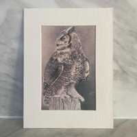 Limited edition Owl drawing art print- wildlife art, bird art, bird drawing, British wildlife, night