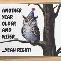 sarcastic owl birthday card / another year older and wiser let's not get carried away / birthday