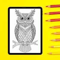 Zentangle Owl Coloring Page Wisdom Bird Adult Coloring Mindfulness Art Therapy Stress Relief Activit