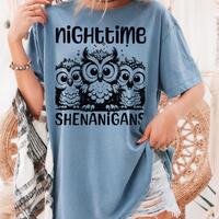 Nighttime Shenanigans Owl T-Shirt: Funny Party Appeal, NightOwl Graphic Tee
