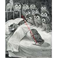 Cat Nightmare Kitten Owl Vintage Photo Print Black White Wall Art Sleeping Feline Bird Fantasy Cute 