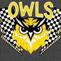 Owls Yellow Gold Checkered Lightning Mascot PNG for Tshirts