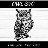 Owl SVG, Owl PNG, Owl Vector, Owl Silhouette - digital download svg, dxf, png, pdf, svg files for cr