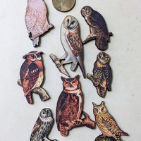 Owl Woodcut  Jewelry Blanks Art Supplies