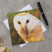 Barn Owl Greeting Card – Wildlife Photography – Owl with Mouse – Nature Lover Gift
