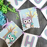 Owl Birthday Banner - Look Whoo's Two