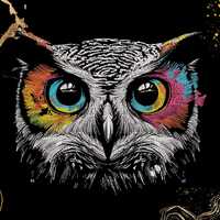 Owl Embroidery Design | Colorful Realistic Owl | Machine Embroidery Pattern | Digital Download | Wil