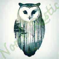 Barn Owl Birch Forest Digital Download | Nature Animal Wall Art | Printable Animal Home Cabin Decor 