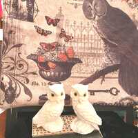 Alabaster White Owl Figurine Pair