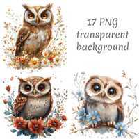 17 Realistic Owl in flowers Clipart PNG, Digital Download, junk journals, transparent background, hi