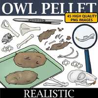 Owl Pellet Clip Art