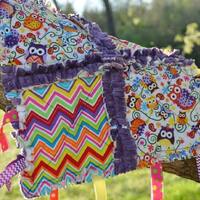 Bright Chevron Owl Minky Tag Rag Blanket