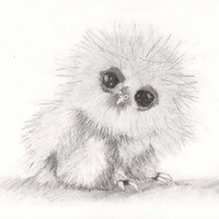 original pencil drawing of baby owl