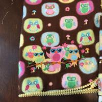 SALE - Embroidered Flannel receiving blanket, Styling Owls