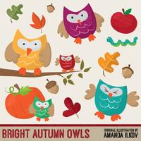 Premium Fun, Bright Autumn Owls Clip Art & Digital Paper Set - Owl Clipart, Autumn Owls, Baby Ow