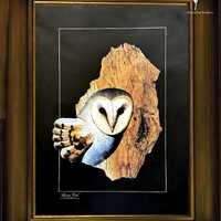 Grass Owl, Barkart, DIRECT FROM ARTIST Limited Edition Print out of 800