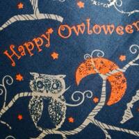 Halloween Owl Pillow Cover, Moon Bats Design, 18x18 Inch