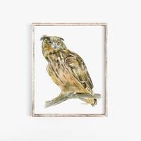 Horned Owl Watercolor Painting - Giclee Print Reproduction - Woodland animal Art Print Unframed
