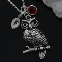 OWL, Personalized Owl Necklace, Initial And Birthstone Owl Necklace, Owl Necklace  on sterling silve