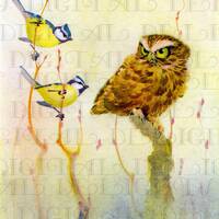 Gorgeous Yellow Birds and Annoyed OWL! Vintage Nature Printable Image. Vintage Digital Download. Dig
