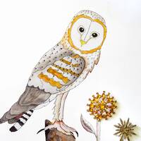 Framed Watercolor Barn Owl Painting: Vintage Brooches, Farmhouse Wall Art
