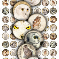 Digital paper VINTAGE OWL 1 inch circle scary bird wings raptors pendants magnet stickers pendant cr