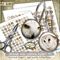 Digital sheet VINTAGE OWL 12mm 16mm 20mm circle bird for jewelry earrings rings raptors pendant craf
